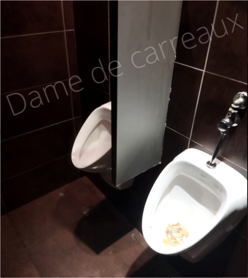 DAME DE CARREAUX