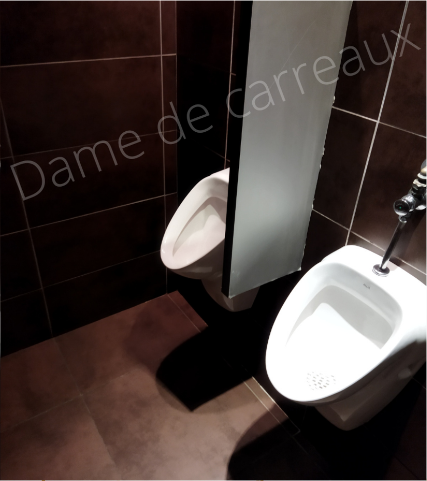 DAME DE CARREAUX