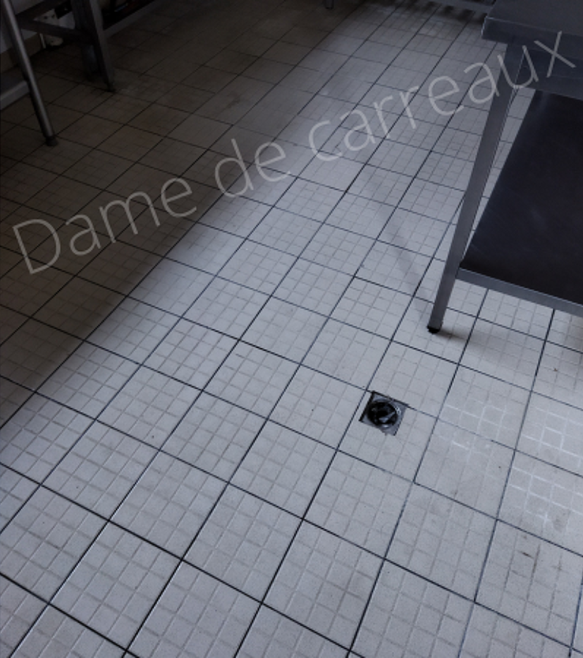 DAME DE CARREAUX