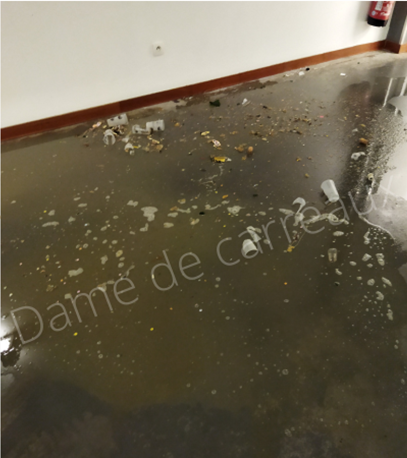 DAME DE CARREAUX