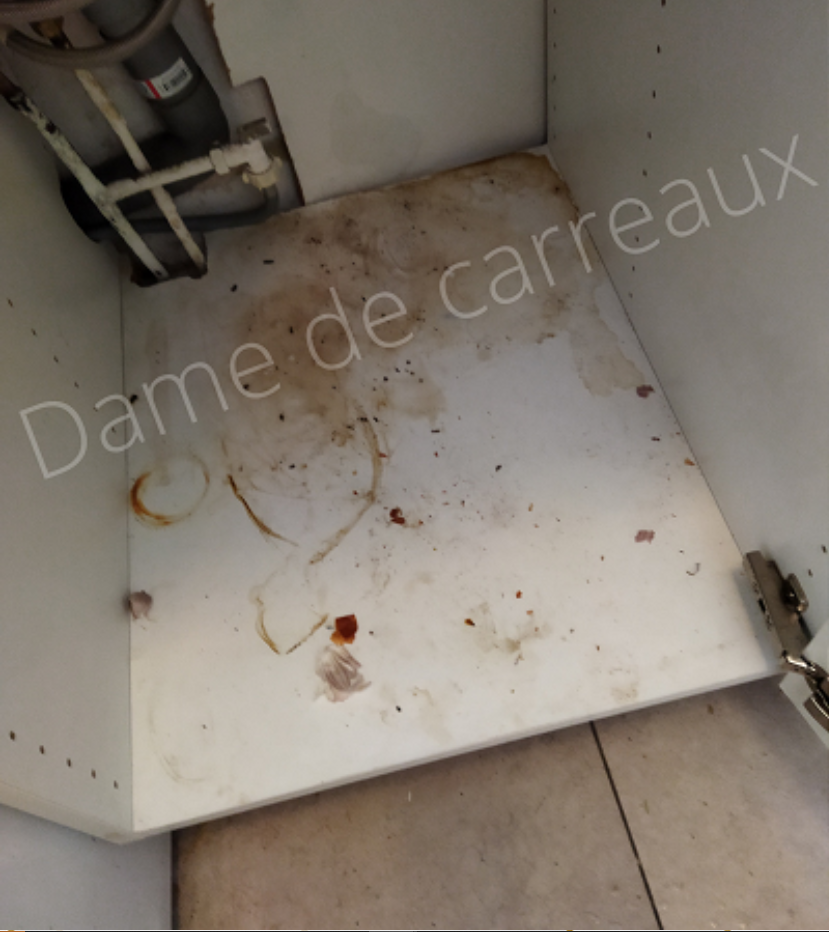 DAME DE CARREAUX